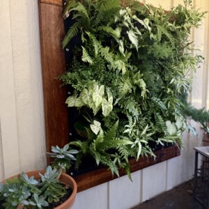 Custom Plant Wall