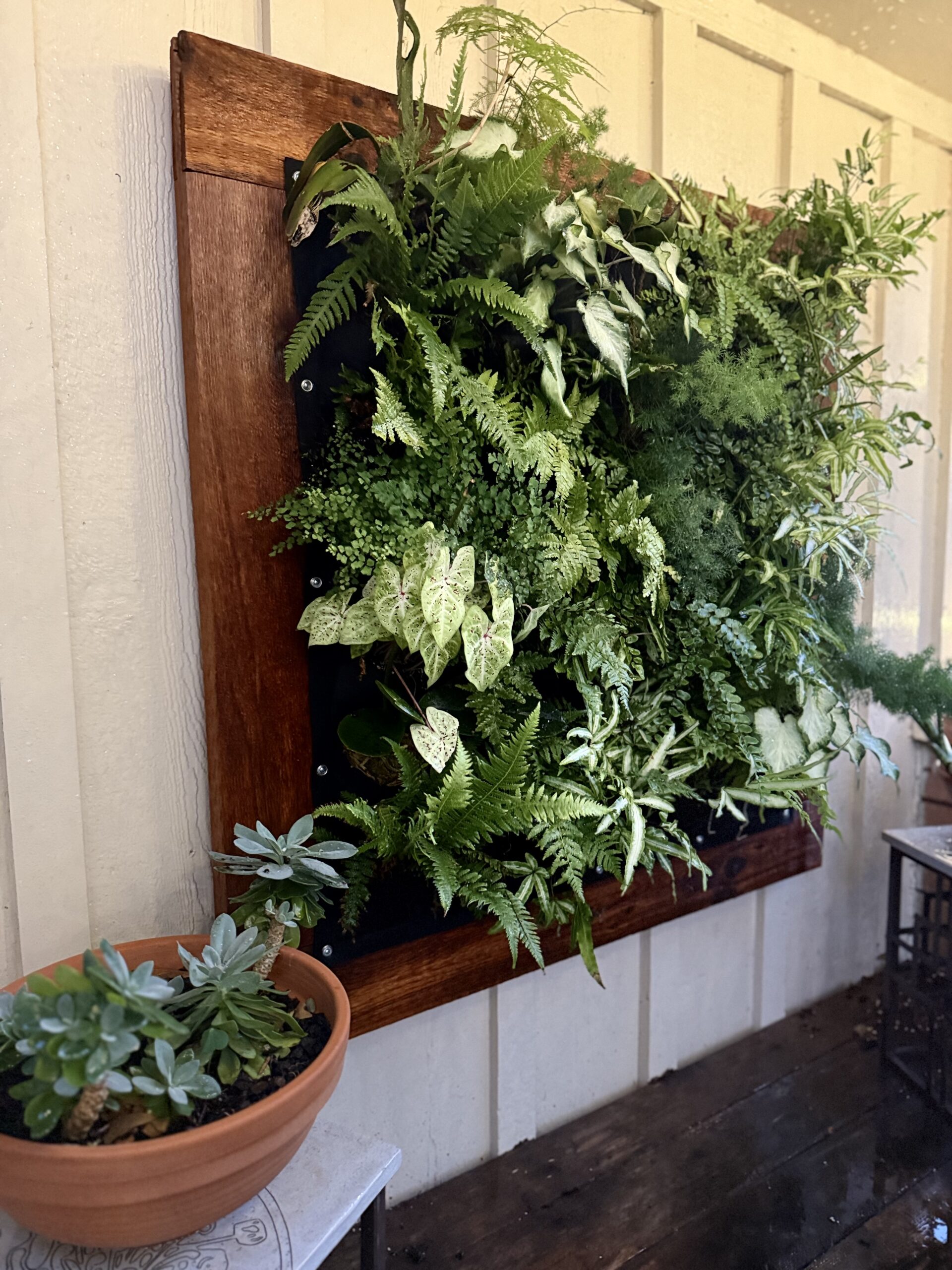 How to Choose the Right Plants for your Light Levels