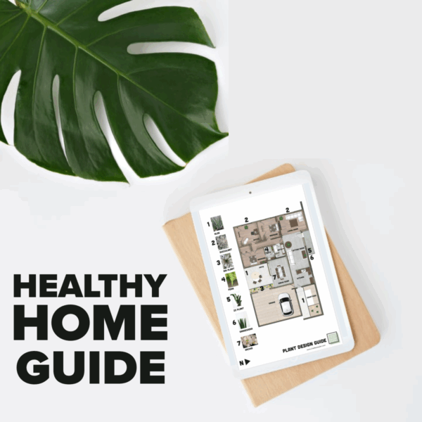 Healthy Home Consultation