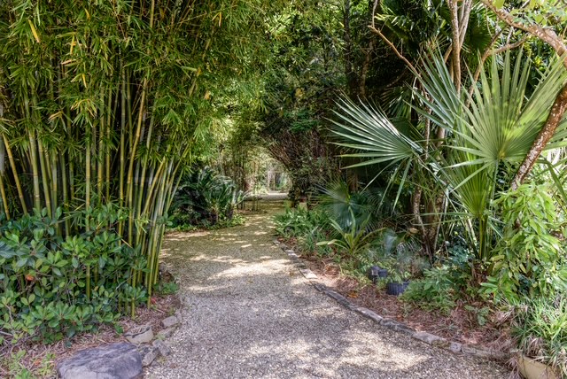 Inside the Biophilic Bungalow: A Wellness Focused, Non Toxic Home in Texas